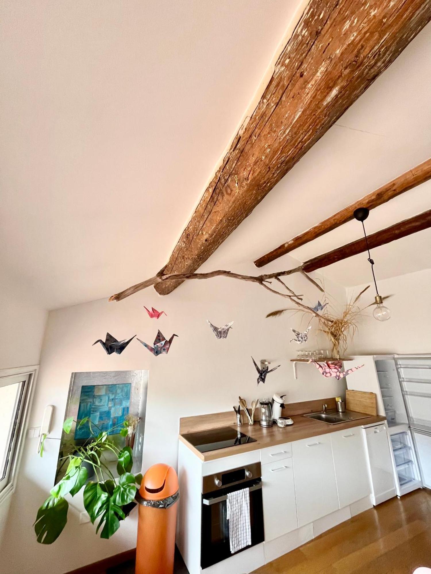 A Spacious, Sunny & Calm Loft In Avignon'S Heart Экстерьер фото